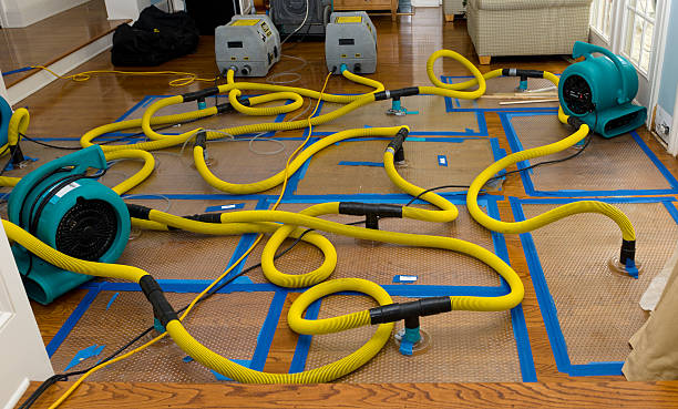 Professional Flood Damage Restoration technician working in New Plymouth, OH