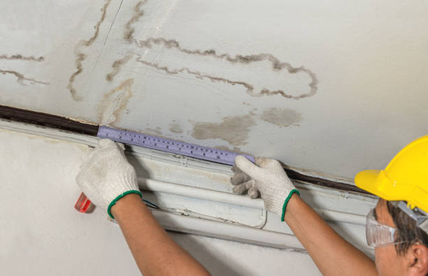 Affordable Water Damage Repair solutions in New Plymouth, OH